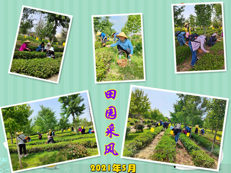 b6d45c6f7f3ad31b55b807d44f9a4b9b.png