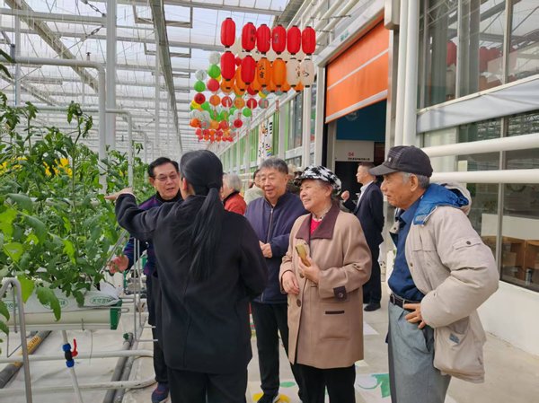 1761808887295848.png 图片7.png