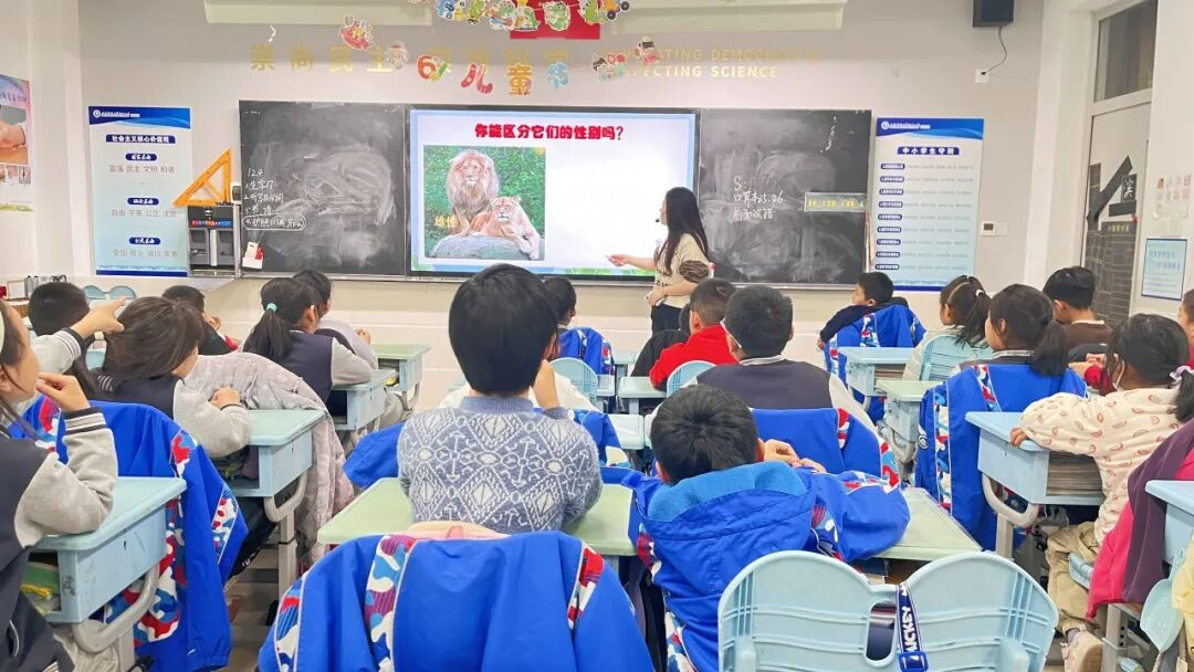 1766115918654644.png 1766115918654644.png